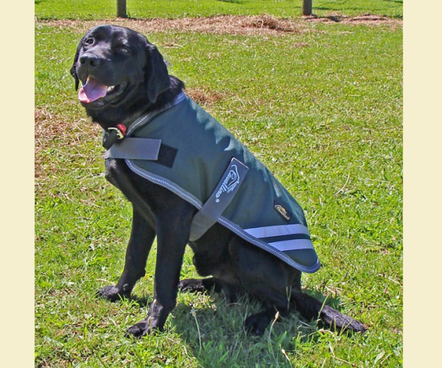 Cavallino Burghley Dog Coat - 1680D image 0